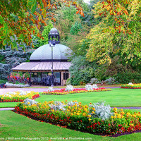 Buy canvas prints of The Valley Gardens - Harrogate by Colin Williams Photography