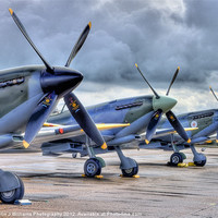 Buy canvas prints of 12 Blades by Colin Williams Photography