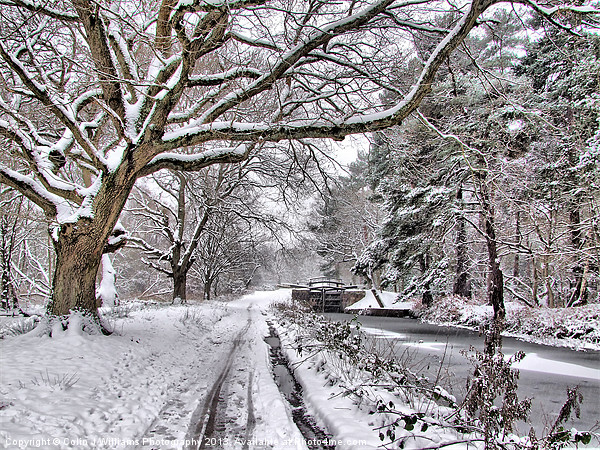 Snow On The Towpath Picture Board by Colin Williams Photography