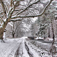 Buy canvas prints of Snow On The Towpath by Colin Williams Photography