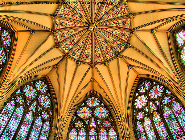 Vaulted Ceiling -The Chapter House - York Minster Picture Board by Colin Williams Photography