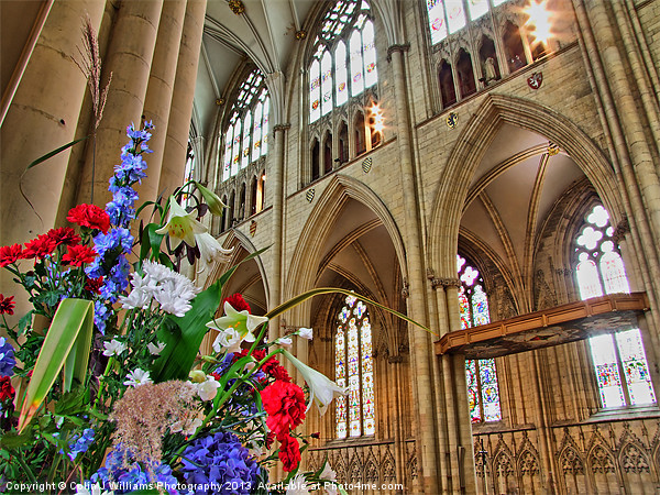 Flowers York Minster Picture Board by Colin Williams Photography