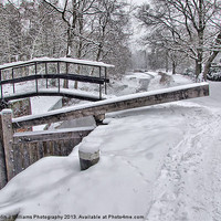 Buy canvas prints of Deepcut Locks by Colin Williams Photography