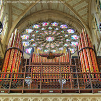 Buy canvas prints of The Organ - Arundel Cathederal by Colin Williams Photography