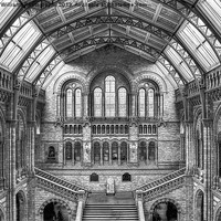 Buy canvas prints of Natural History Museum - London by Colin Williams Photography
