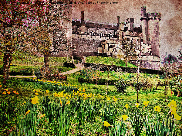 Spring At Arundel Castle Picture Board by Colin Williams Photography
