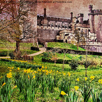 Buy canvas prints of Spring At Arundel Castle by Colin Williams Photography