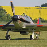 Buy canvas prints of Paul Bonhomme In The Hurricane by Colin Williams Photography