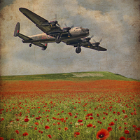 Buy canvas prints of We Remember Them by Colin Williams Photography