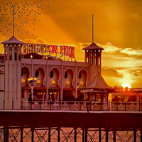 Buy canvas prints of Roosting Starlings - Brighton Pier by Colin Williams Photography