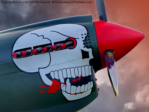 Curtiss P-40 Kittyhawk - 