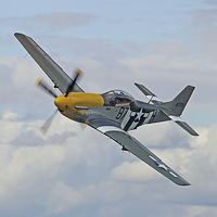 Buy canvas prints of  P51 Mustang Ferocious Frankie by Colin Williams Photography