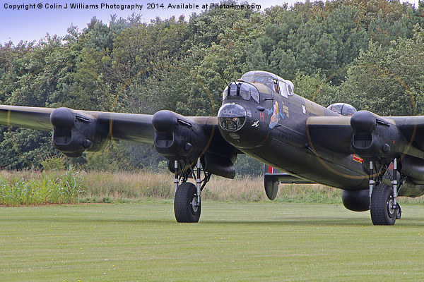  Throttles Open 2 - Just Jane Picture Board by Colin Williams Photography