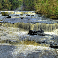 Buy canvas prints of  Upper Falls Aysgarth 2 - Yorkshire Dales by Colin Williams Photography