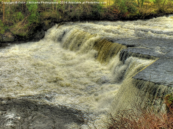 Middle Falls Aysgarth  - Yorkshire Dales Picture Board by Colin Williams Photography