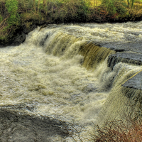 Buy canvas prints of  Middle Falls Aysgarth  - Yorkshire Dales by Colin Williams Photography
