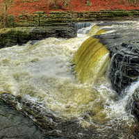 Buy canvas prints of   Lower Falls Aysgarth 1 - Yorkshire Dales by Colin Williams Photography