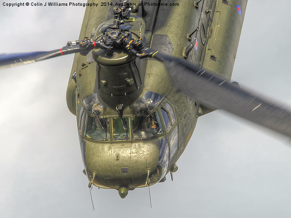  RAF Odiam Display Chinook 2 - Dunsfold 2014 Picture Board by Colin Williams Photography