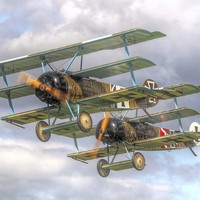 Buy canvas prints of  Two Little Fokkers by Colin Williams Photography
