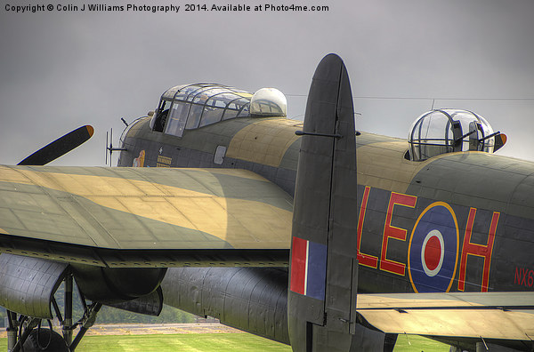 A Moody Just Jane  Picture Board by Colin Williams Photography