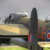 Buy canvas prints of A Moody Just Jane  by Colin Williams Photography