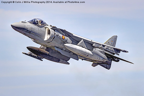 Spanish AV-8B II Harrier 1 Picture Board by Colin Williams Photography