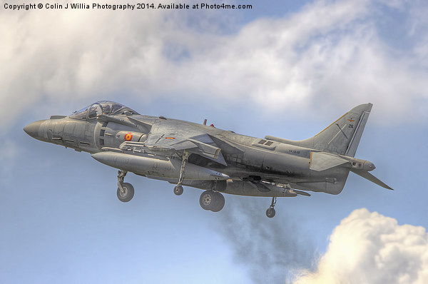  Spanish AV-8B II Harrier 2 Picture Board by Colin Williams Photography