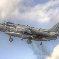 Buy canvas prints of  Spanish AV-8B II Harrier 2 by Colin Williams Photography