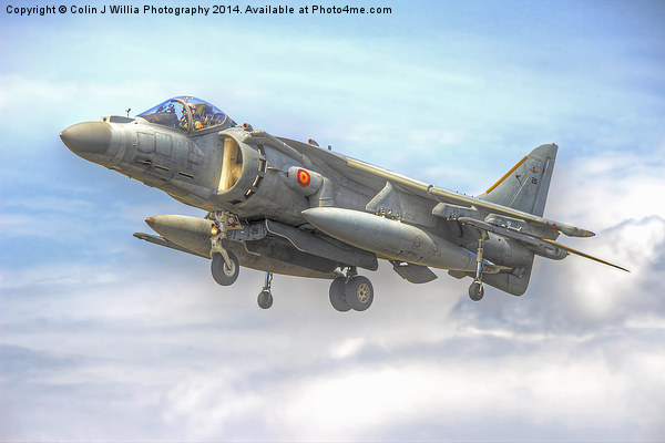  Spanish AV-8B II Harrier 3 Picture Board by Colin Williams Photography