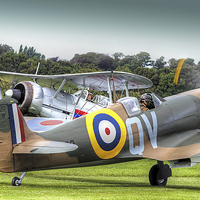 Buy canvas prints of  Spitfire and Gladiator Shorham 2014 by Colin Williams Photography