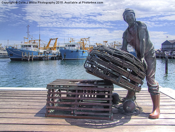  Fishing Harbour Fremantle WA Picture Board by Colin Williams Photography