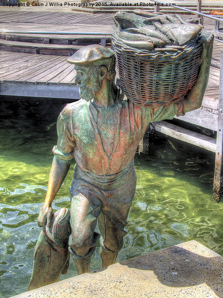  Fishing Harbour Fremantle WA 2  Picture Board by Colin Williams Photography