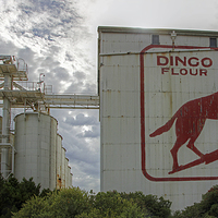 Buy canvas prints of  Dingo Flour - Fremantle - WA by Colin Williams Photography