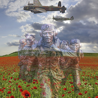 Buy canvas prints of  We Remember Them by Colin Williams Photography