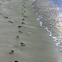 Buy canvas prints of  Footprints in The Sand by Colin Williams Photography