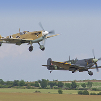 Buy canvas prints of  Friend And Foe Take Off  by Colin Williams Photography