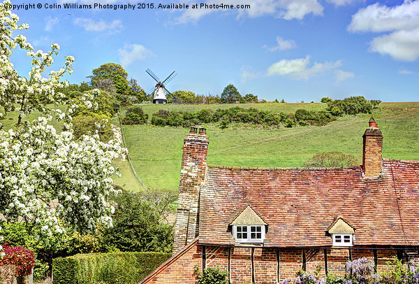  Turville and Cobstone Mill Picture Board by Colin Williams Photography