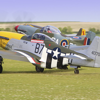 Buy canvas prints of Mustang Scramble - Duxford by Colin Williams Photography