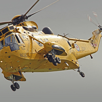 Buy canvas prints of  Rescue Hero The Westland Sea King by Colin Williams Photography