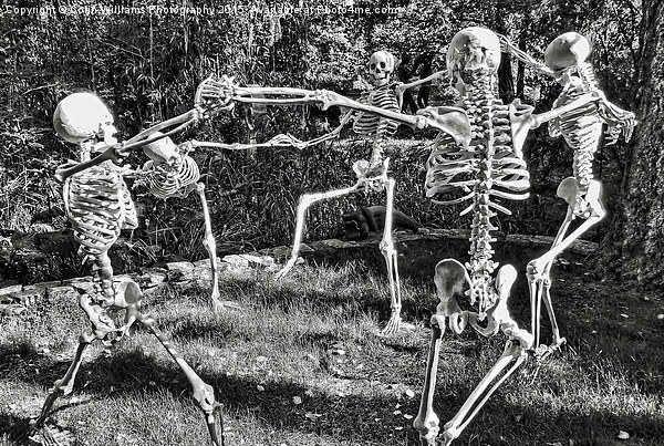  Dancing Skeletons  Picture Board by Colin Williams Photography