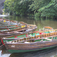 Buy canvas prints of  Knaresborough Rowing Boats 6 by Colin Williams Photography