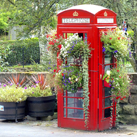 Buy canvas prints of  Telephone Box  Spofforth  North Yorkshire by Colin Williams Photography