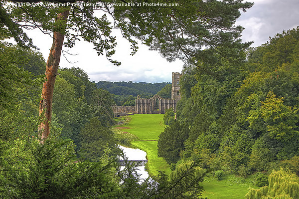  Fountains Abbey Yorkshire 1 Picture Board by Colin Williams Photography