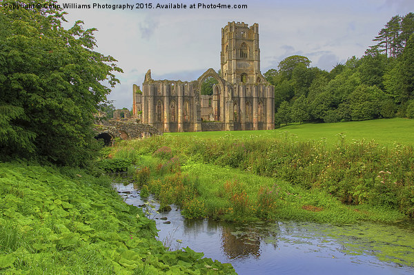   Fountains Abbey Yorkshire 2 Picture Board by Colin Williams Photography
