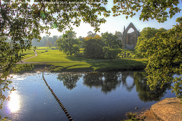  Bolton Abbey 2 Picture Board by Colin Williams Photography