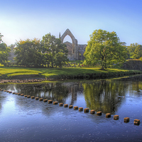 Buy canvas prints of   Bolton Abbey 3 by Colin Williams Photography