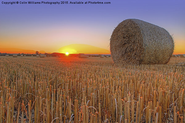  Bales at Sunset 1 Picture Board by Colin Williams Photography