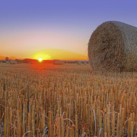 Buy canvas prints of  Bales at Sunset 1 by Colin Williams Photography