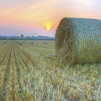 Buy canvas prints of   Bales at Sunset 2 by Colin Williams Photography