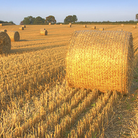 Buy canvas prints of    Bales at Sunset 3 by Colin Williams Photography